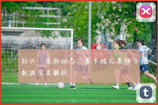 孙兴慜最新动态：赛季精彩集锦与数据深度解析